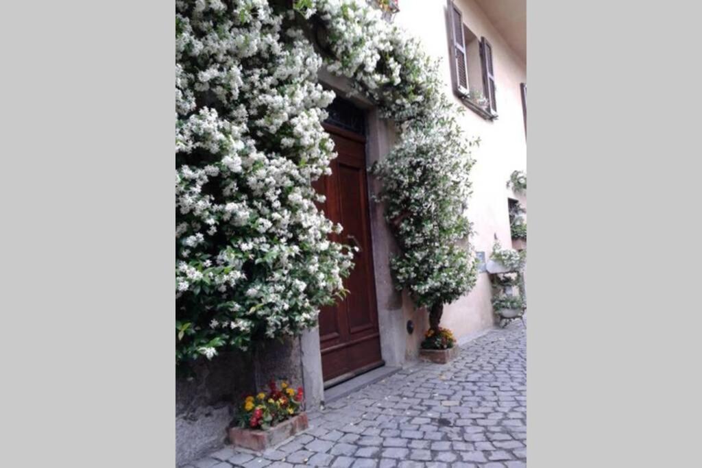 Il Gelsomino Di Isia Villa Orvieto Bagian luar foto