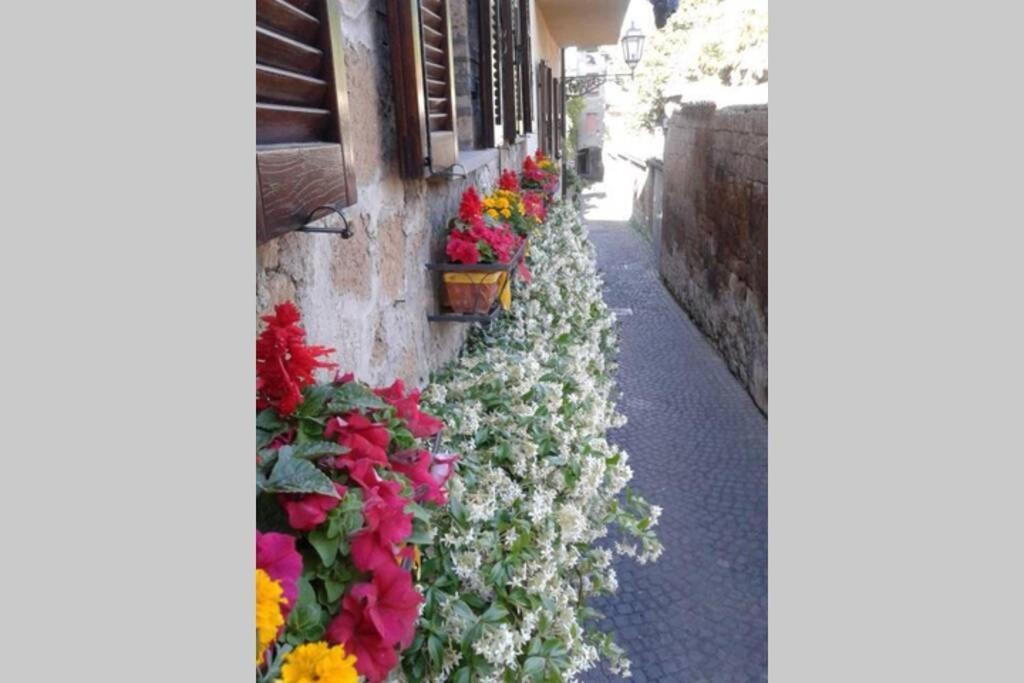 Il Gelsomino Di Isia Villa Orvieto Bagian luar foto