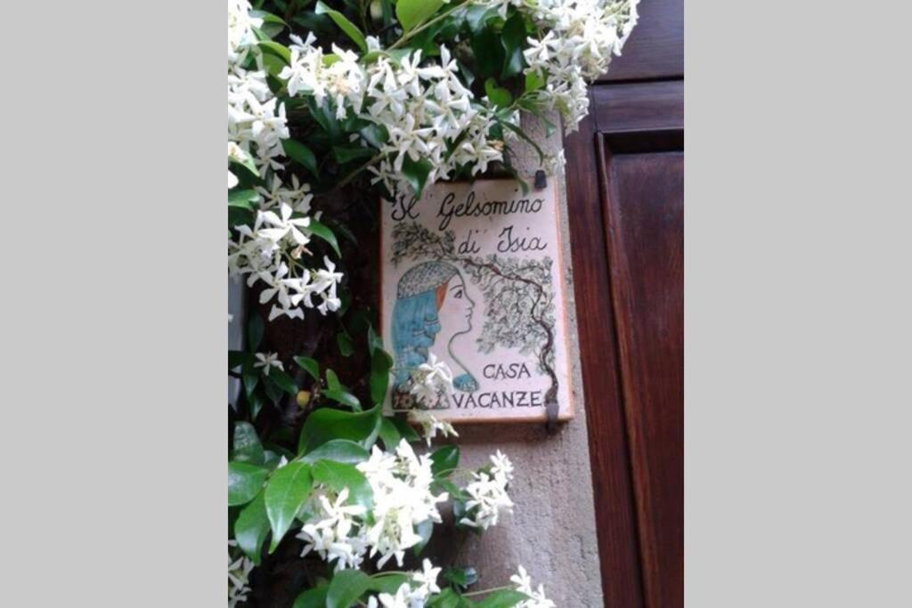 Il Gelsomino Di Isia Villa Orvieto Bagian luar foto